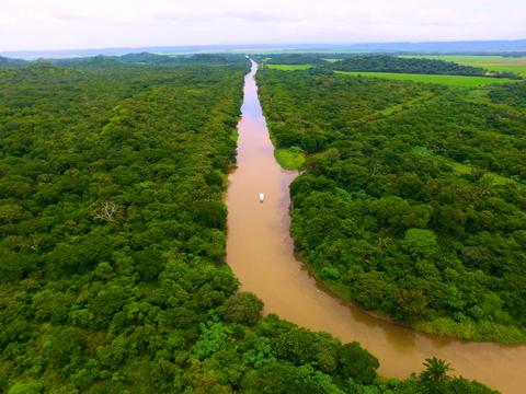 Palo Verde Boat Expedition Costa Rica